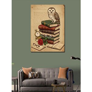 Kanvas Tablo Baykuş, Kitap Ve Antik Saat 50x70 cm