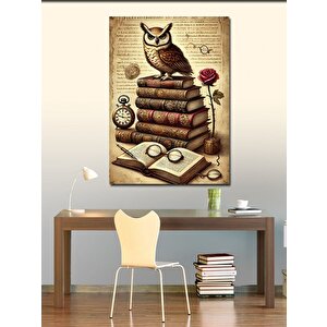 Kanvas Tablo Kitaplar Ve Baykuş 50x70 cm