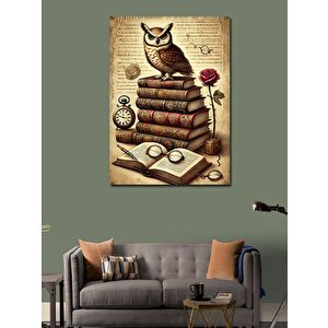 Kanvas Tablo Kitaplar Ve Baykuş 50x70 cm