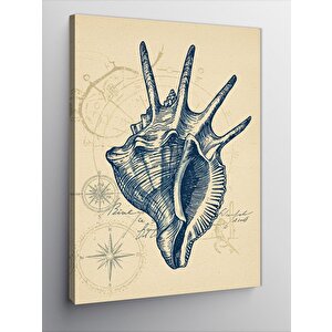 Kanvas Tablo Deniz Kabuğu Ve Teknik Çizim 50x70 cm