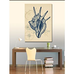 Kanvas Tablo Deniz Kabuğu Ve Teknik Çizim 100x140 cm
