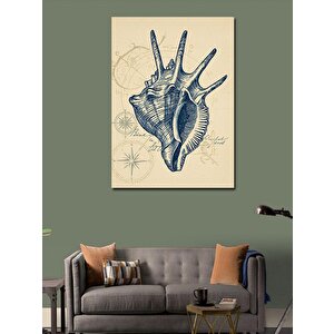 Kanvas Tablo Deniz Kabuğu Ve Teknik Çizim 100x140 cm