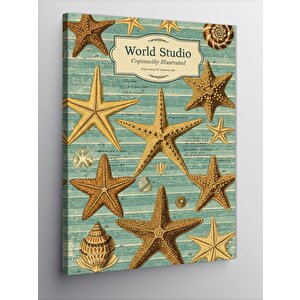 Kanvas Tablo Deniz Yıldızı Koleksiyonu 50x70 cm