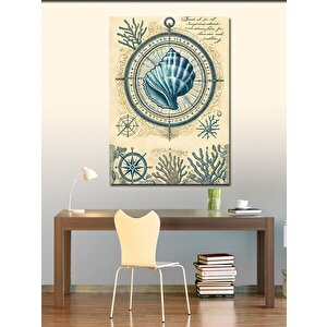 Kanvas Tablo Deniz Kabukları Çizimi 50x70 cm