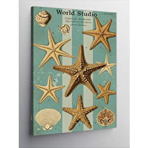 Kanvas Tablo Deniz Yıldızları Ve Deniz Kabukları 70x100 cm