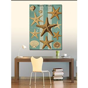 Kanvas Tablo Deniz Yıldızları Ve Deniz Kabukları 70x100 cm
