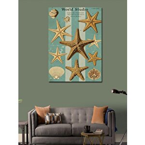 Kanvas Tablo Deniz Yıldızları Ve Deniz Kabukları 70x100 cm