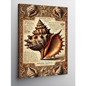 Kanvas Tablo Deniz Kabukları Hikayesi 100x140 cm