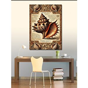 Kanvas Tablo Deniz Kabukları Hikayesi 100x140 cm