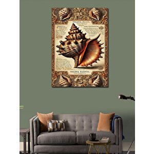 Kanvas Tablo Deniz Kabukları Hikayesi 100x140 cm