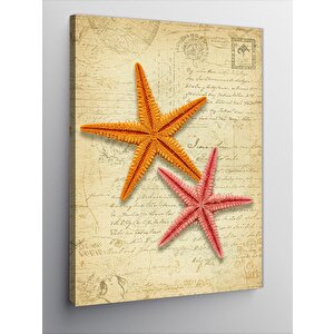 Kanvas Tablo Deniz Yıldızı Ve Deniz Teması 100x140 cm