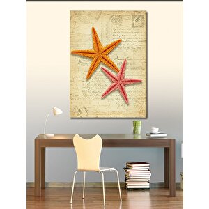 Kanvas Tablo Deniz Yıldızı Ve Deniz Teması 100x140 cm