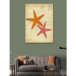 Kanvas Tablo Deniz Yıldızı Ve Deniz Teması 100x140 cm