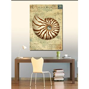 Kanvas Tablo Deniz Kabuğu Spirali 50x70 cm
