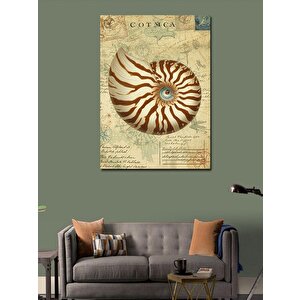 Kanvas Tablo Deniz Kabuğu Spirali 100x140 cm