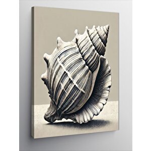 Kanvas Tablo Deniz Kabuklu İllüstrasyon 50x70 cm