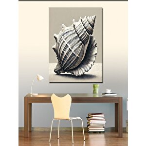 Kanvas Tablo Deniz Kabuklu İllüstrasyon 50x70 cm
