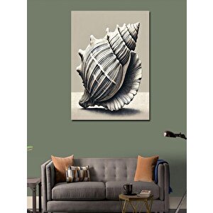 Kanvas Tablo Deniz Kabuklu İllüstrasyon 50x70 cm