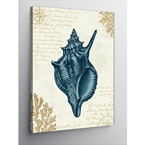 Kanvas Tablo Deniz Kabuğu Çizimi 70x100 cm