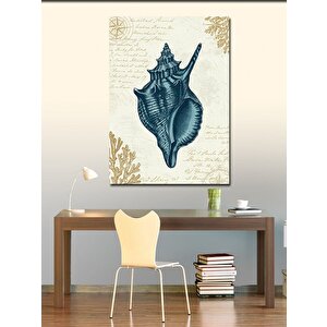 Kanvas Tablo Deniz Kabuğu Çizimi 70x100 cm
