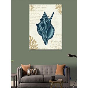 Kanvas Tablo Deniz Kabuğu Çizimi 70x100 cm