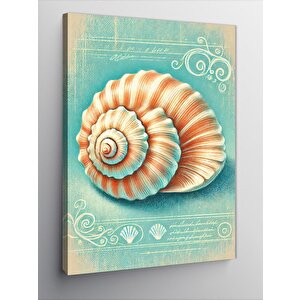 Kanvas Tablo Deniz Kabuğu Çizimi 70x100 cm