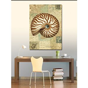 Kanvas Tablo Deniz Kabuğu Çizimi 100x140 cm