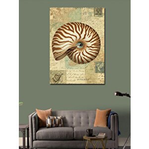 Kanvas Tablo Deniz Kabuğu Çizimi 100x140 cm