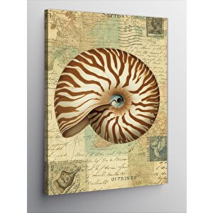 Kanvas Tablo Deniz Kabuğu Çizimi 70x100 cm