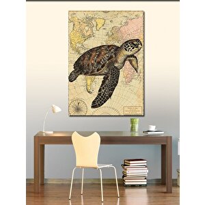 Kanvas Tablo Haritalı Deniz Kaplumbağası 100x140 cm