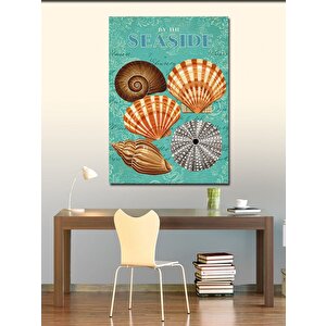 Kanvas Tablo Deniz Kabuğu Posteri 50x70 cm
