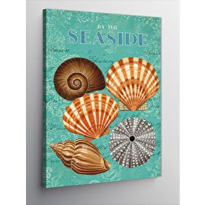 Kanvas Tablo Deniz Kabuğu Posteri 70x100 cm