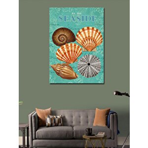Kanvas Tablo Deniz Kabuğu Posteri 70x100 cm