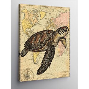 Kanvas Tablo Haritalı Deniz Kaplumbağası 50x70 cm