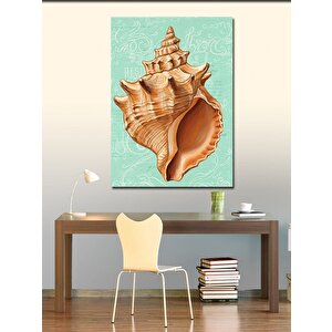 Kanvas Tablo Deniz Kabuğu Çizimi 50x70 cm