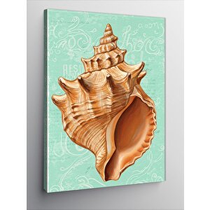 Kanvas Tablo Deniz Kabuğu Çizimi 70x100 cm