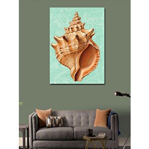 Kanvas Tablo Deniz Kabuğu Çizimi 100x140 cm