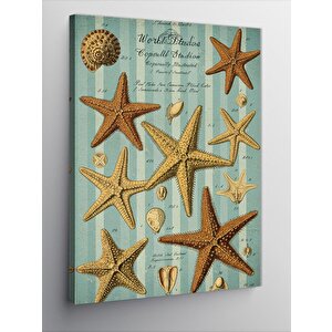 Kanvas Tablo Deniz Yıldızı Koleksiyonu 100x140 cm