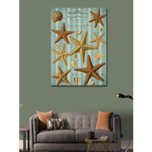 Kanvas Tablo Deniz Yıldızı Koleksiyonu 100x140 cm