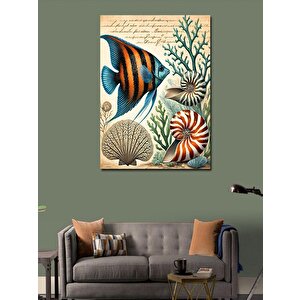 Kanvas Tablo Tropik Balıklar Ve Deniz Kabukları 100x140 cm