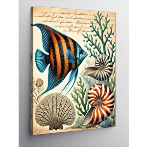 Kanvas Tablo Tropik Balıklar Ve Deniz Kabukları 50x70 cm