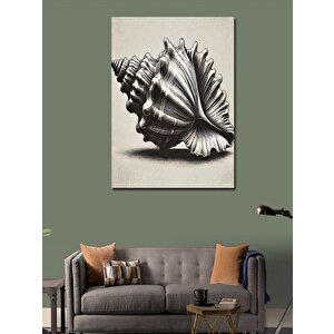 Kanvas Tablo Deniz Kabuğu Çizimi 70x100 cm