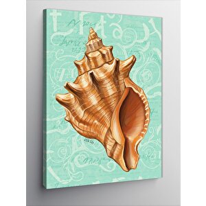 Kanvas Tablo Tropikal Deniz Kabuğu 50x70 cm