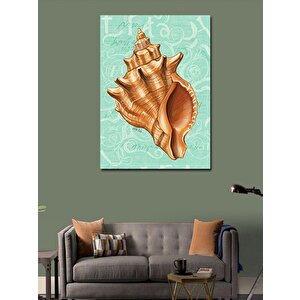 Kanvas Tablo Tropikal Deniz Kabuğu 50x70 cm