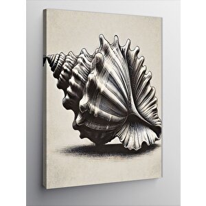 Kanvas Tablo Deniz Kabuğu Çizimi 100x140 cm
