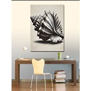 Kanvas Tablo Deniz Kabuğu Çizimi 100x140 cm