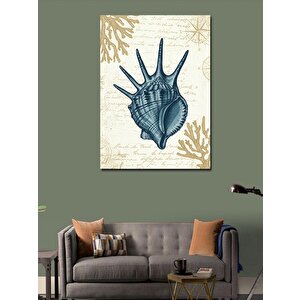 Kanvas Tablo Deniz Kabuğu Çizimi 100x140 cm