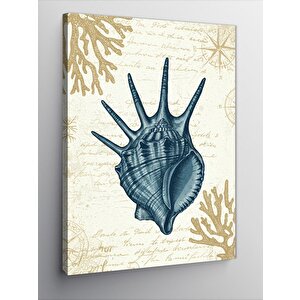 Kanvas Tablo Deniz Kabuğu Çizimi 70x100 cm