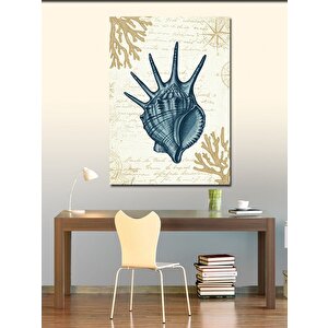 Kanvas Tablo Deniz Kabuğu Çizimi 70x100 cm