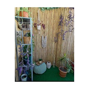 2 Metre X 3 Metre Hasır Bahçe Çiti Gölgelik Ve Dekorasyon